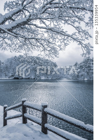 厳冬期の裏磐梯の雪景色 厳冬期の裏磐梯の雪景色 135339954