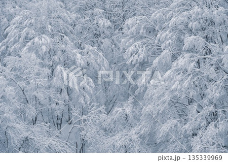 厳冬期の裏磐梯の雪景色 厳冬期の裏磐梯の雪景色 135339969