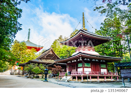 高野山 壇上伽藍 東塔 高野山 壇上伽藍 東塔 135340067