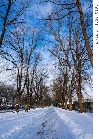 A snow covered path runs through a tree lined avenue in Riga, Latvia. Footprints mark the walkway, cars and a fence line the sides, and tall bare trees form a tunnel. 135340191