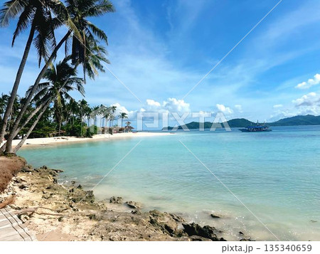 Idyllic tropical beach with white sand turquoise water and leaning palm trees Idyllic tropical beach with white sand turquoise water and leaning palm trees 135340659