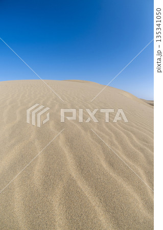 鳥取観光（鳥取砂丘） 135341050