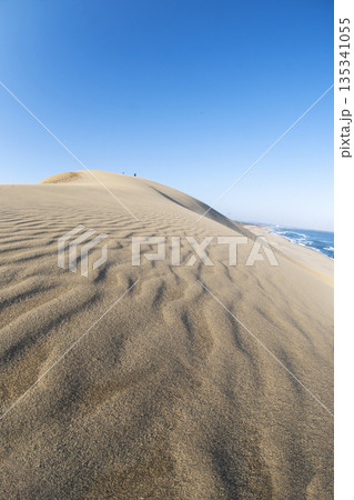 鳥取観光(鳥取砂丘) 鳥取観光(鳥取砂丘) 135341055