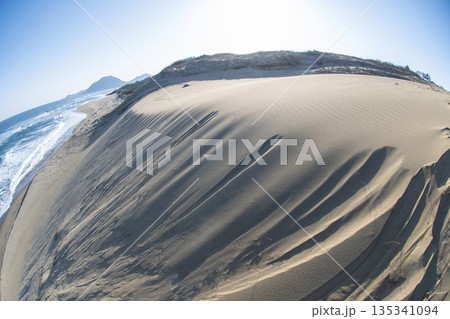 風紋(鳥取砂丘) 風紋(鳥取砂丘) 135341094