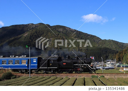 一面のお茶畑が広がる景色の中のんびりと走る大井川鉄道C10-8号機の急行列車_2026/1/3撮影 一面のお茶畑が広がる景色の中のんびりと走る大井川鉄道C10-8号機の急行列車_2026/1/3撮影 135341486