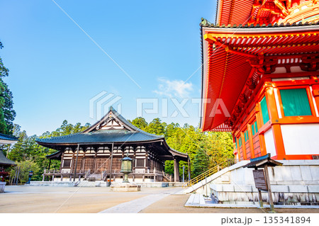 高野山 壇上伽藍 根本大塔と金堂 高野山 壇上伽藍 根本大塔と金堂 135341894