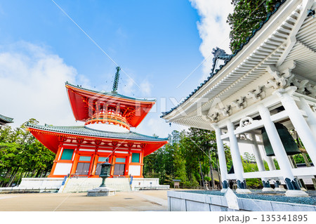 高野山 壇上伽藍　根本大塔と高野四郎　 135341895