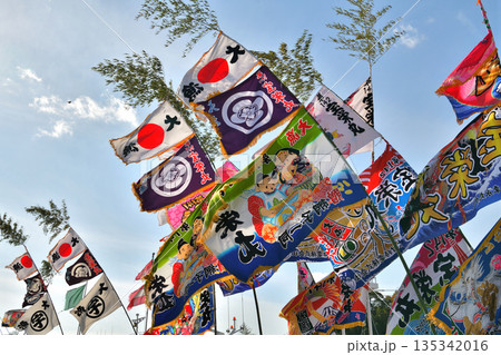 大漁旗　室津漁港　正月の風物詩 135342016