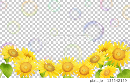 向日葵和肥皂泡 向日葵和肥皂泡 135342139