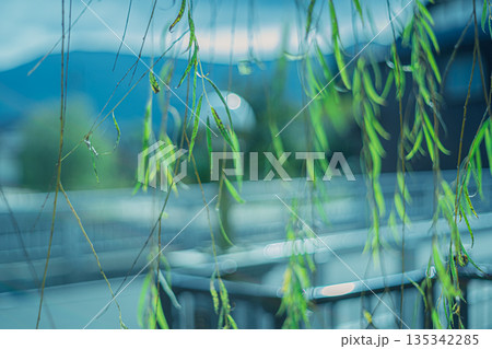 江戸から明治昭和初期にかけて高級織物丹後ちりめんが隆盛を極めたちりめん街道の街並みを撮影 135342285