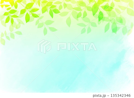 水彩画の抽象的な背景黄緑と新緑 135342346