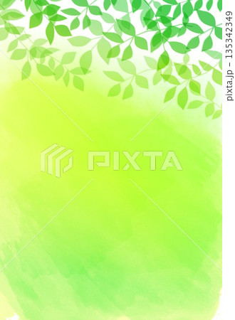 水彩画の抽象的な背景黄緑と新緑 135342349