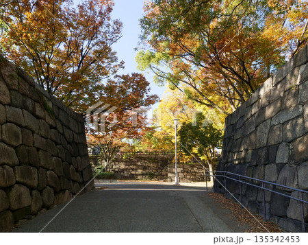 紅葉が美しい秋の大阪城 135342453