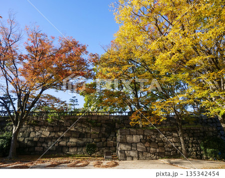紅葉が美しい秋の大阪城 135342454