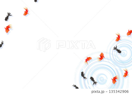 上から見た金魚と水面の波紋　ミニマルな和風イラスト 135342906