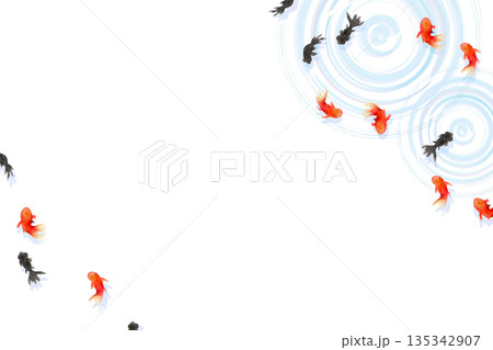 上から見た金魚と水面の波紋　ミニマルな和風イラスト 135342907
