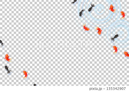 A minimalist Japanese-style illustration of goldfish and ripples on the water surface seen from above 135342907