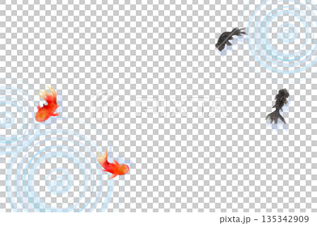 A minimalist Japanese-style illustration of goldfish and ripples on the water surface seen from above 135342909