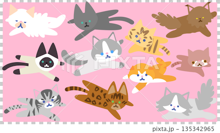 いろいろなポーズのかわいい猫キャラクターのイラストセット 135342965