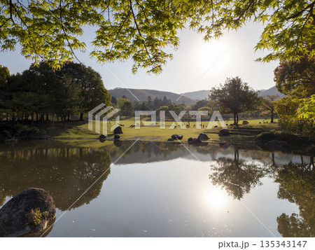 奈良公園春日野園地と鹿の群れ 奈良公園春日野園地と鹿の群れ 135343147