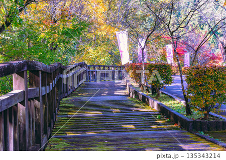 秋の紅葉風景 135343214