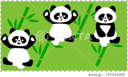 可愛的竹子和熊貓插圖 135343263