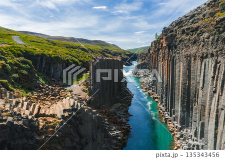 Studlagil Canyon in Iceland features basalt columns, a turquoise river, and lush green landscapes under a bright blue sky with visitors on the cliffs. 135343456