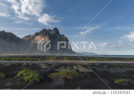 The Stokksnes Peninsula features the sharp Vestrahorn mountain, a black sand beach, and green grass patches under a clear blue sky in Iceland. The Stokksnes Peninsula features the sharp Vestrahorn mountain, a black sand beach, and green grass patches under a clear blue sky in Iceland. 135343581