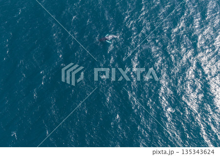 An aerial view captures a whale partially surfacing in a vast expanse of rippling deep blue ocean, with sunlight reflecting off the water's surface. 135343624