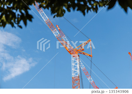2基の赤白に塗装された建設用クレーンと木立と青空 2基の赤白に塗装された建設用クレーンと木立と青空 135343906