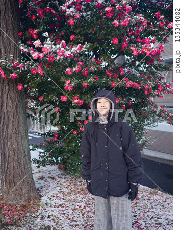 冬の朝の積雪の公園で満開の椿の花と小学生の女の子の姿 冬の朝の積雪の公園で満開の椿の花と小学生の女の子の姿 135344082
