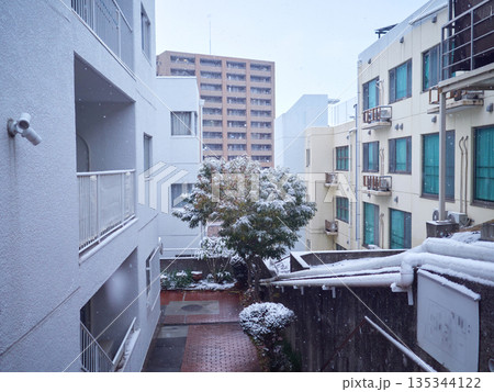 冬の朝の住宅地の住宅と雪の風景 冬の朝の住宅地の住宅と雪の風景 135344122
