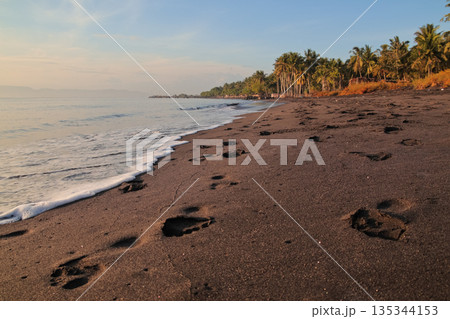 Black sand beach at sunset with gentle waves and footprints under natural light offering copy space for serene tropical vacation vibes 135344153