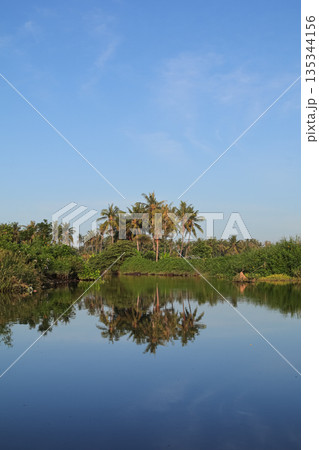 Tropical palm trees reflecting in calm river water under natural light providing copy space for travel and tourism advertising Tropical palm trees reflecting in calm river water under natural light providing copy space for travel and tourism advertising 135344156
