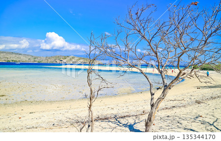 Beautiful view of white sand beach and blue sky 135344170