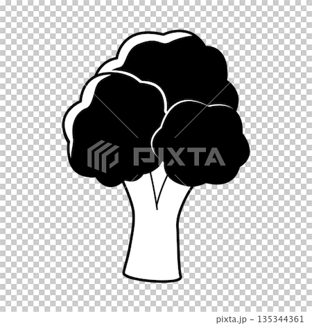 黑白青花菜簡筆畫 135344361