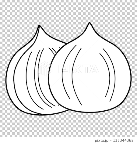 シンプルな玉ねぎのイラスト・白黒 シンプルな玉ねぎのイラスト・白黒 135344368