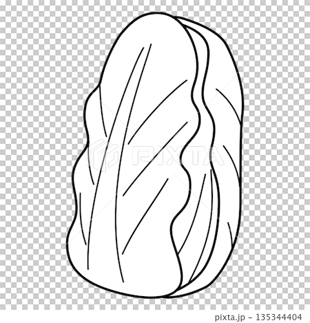 黑白簡筆畫大白菜插圖 135344404