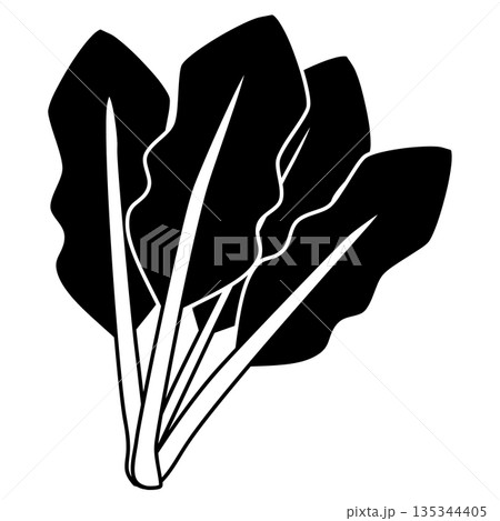 シンプルなほうれん草のイラスト・白黒 135344405