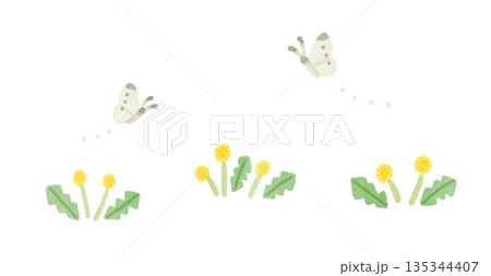 たんぽぽのイラスト 135344407