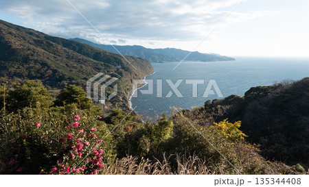 静岡県伊豆市　西伊豆の絶景スポット「碧の丘」からの眺望と花 135344408