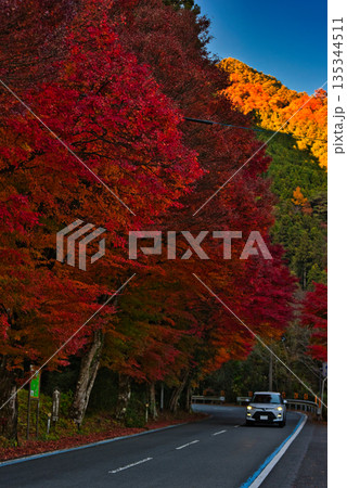 久万高原町の紅葉 久万高原町の紅葉 135344511