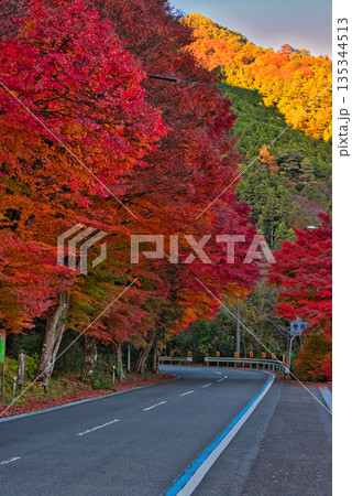 久万高原町の紅葉 久万高原町の紅葉 135344513