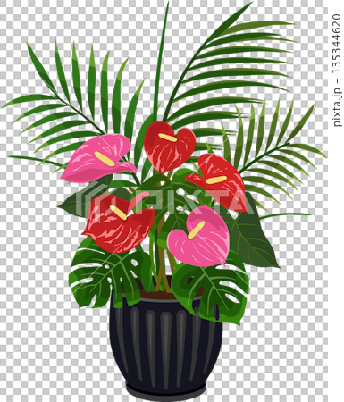 Tropical planting Tropical planting 135344620