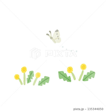 たんぽぽのイラスト 135344850