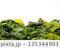Seaweed wakame isolated on white background. 135344903