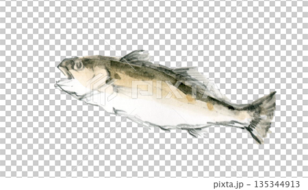 Left-facing rockfish 135344913