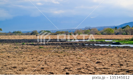 Beautiful view of the savanna, Baluran National Park, East Java, Indonesia Beautiful view of the savanna, Baluran National Park, East Java, Indonesia 135345012