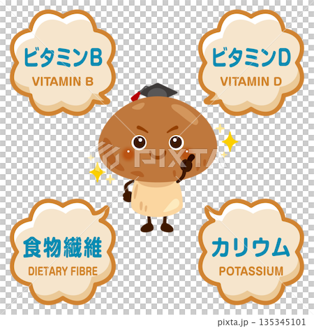 きのこのキャラクターときのこに含まれる成分イラスト きのこのキャラクターときのこに含まれる成分イラスト 135345101