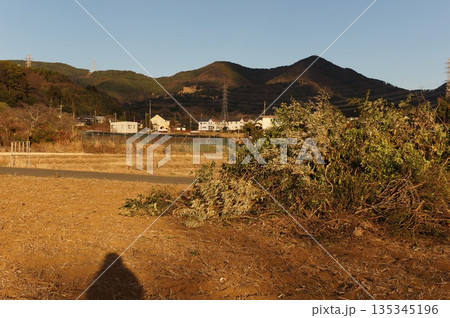 刈られた草の山と農村地の民家 135345196